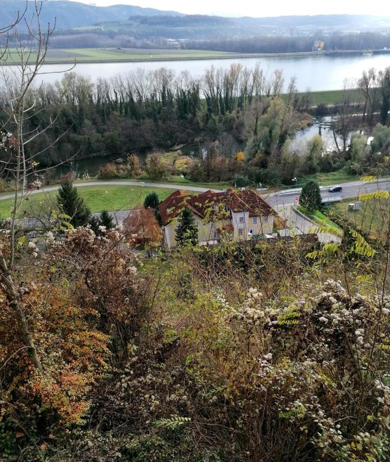 Leiben Gaestehaus Wachau מראה חיצוני תמונה