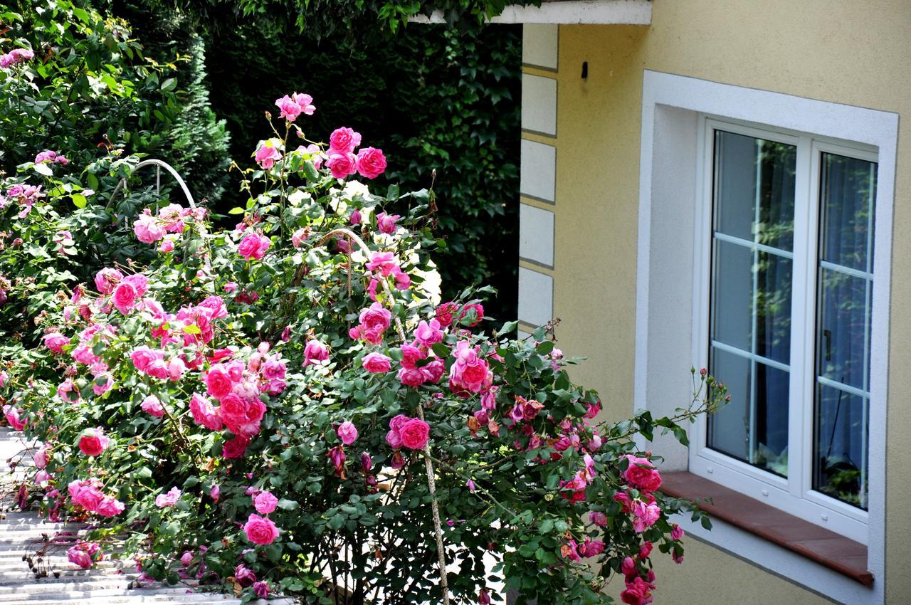 Leiben Gaestehaus Wachau מראה חיצוני תמונה